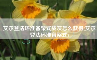 艾尔登法环准备架式战灰怎么获得(艾尔登法环准备架式)