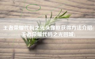 王者荣耀代码之光头像框获得方法介绍(王者荣耀代码之光回城)