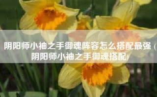 阴阳师小袖之手御魂阵容怎么搭配最强 (阴阳师小袖之手御魂搭配)