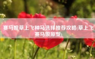 赛马娘草上飞种马选择推荐攻略(草上飞赛马娘原型)