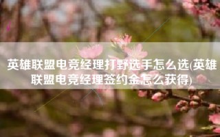 英雄联盟电竞经理打野选手怎么选(英雄联盟电竞经理签约金怎么获得)