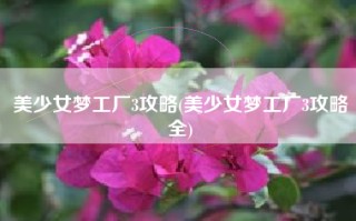 美少女梦工厂3攻略(美少女梦工厂3攻略全)