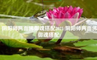 阴阳师两面佛御魂搭配2021(阴阳师两面佛御魂搭配)