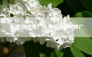 武魂2游戏推广员,如何做游戏推广