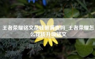 王者荣耀铭文花钱砸满贵吗_王者荣耀怎么花钱升级铭文