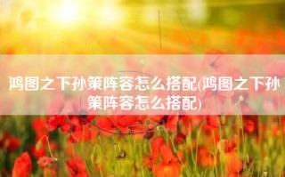 鸿图之下孙策阵容怎么搭配(鸿图之下孙策阵容怎么搭配)