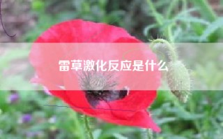 雷草激化反应是什么