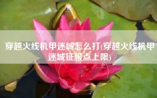 穿越火线机甲迷城怎么打(穿越火线机甲迷城征服点上限)