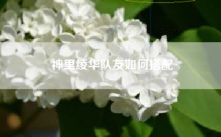 神里绫华队友如何搭配