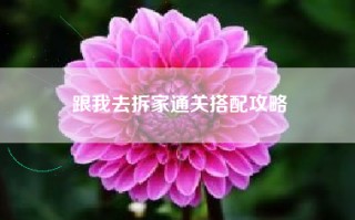 跟我去拆家通关搭配攻略