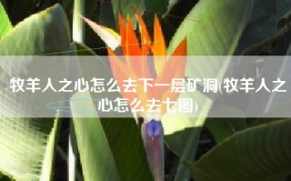 牧羊人之心怎么去下一层矿洞(牧羊人之心怎么去七图)
