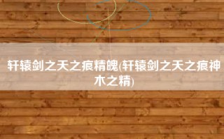 轩辕剑之天之痕精魄(轩辕剑之天之痕神木之精)