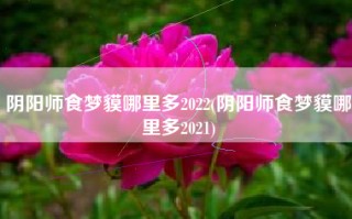 阴阳师食梦貘哪里多2022(阴阳师食梦貘哪里多2021)