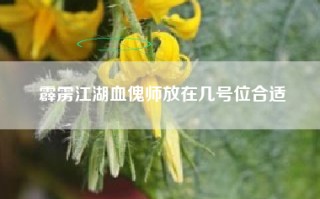 霹雳江湖血傀师放在几号位合适