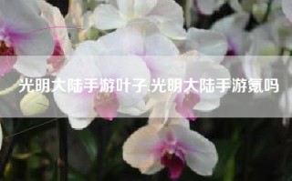 光明大陆手游叶子,光明大陆手游氪吗