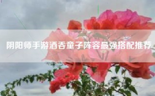 阴阳师手游酒吞童子阵容最强搭配推荐