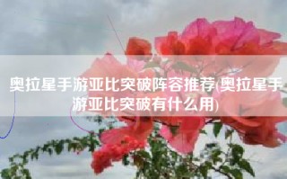 奥拉星手游亚比突破阵容推荐(奥拉星手游亚比突破有什么用)