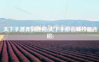 天下手游弈剑连招(天下手游云麓技能连招)
