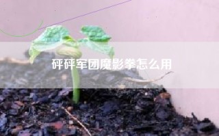 砰砰军团魔影拳怎么用
