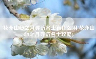 花亦山心之月寻访名士有什么用(花亦山心之月寻访名士攻略)