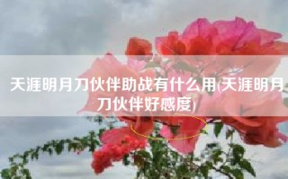 天涯明月刀伙伴助战有什么用(天涯明月刀伙伴好感度)