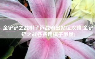 金铲铲之战棋子近战输出站位攻略(金铲铲之战各费用棋子数量)