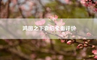 鸿图之下袁绍全面评价