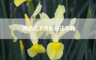 鸿图之下开局玩法攻略