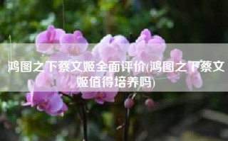 鸿图之下蔡文姬全面评价(鸿图之下蔡文姬值得培养吗)
