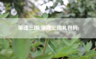 策魂三国(策魂三国礼包码)