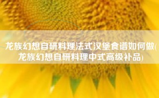 龙族幻想自研料理法式汉堡食谱如何做(龙族幻想自研料理中式高级补品)