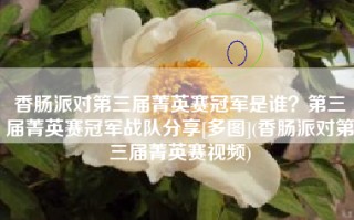 香肠派对第三届菁英赛冠军是谁？第三届菁英赛冠军战队分享[多图](香肠派对第三届菁英赛视频)