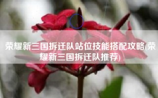 荣耀新三国拆迁队站位技能搭配攻略(荣耀新三国拆迁队推荐)