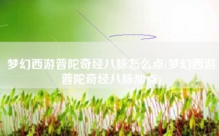 梦幻西游普陀奇经八脉怎么点(梦幻西游普陀奇经八脉加点)