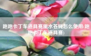 跑跑卡丁车道具赛里水苍蝇怎么使用(跑跑卡丁车道具赛)