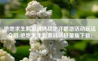 绝地求生刺激战场战地许愿池活动玩法介绍(绝地求生刺激战场轻量版下载)