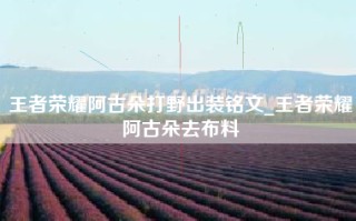 王者荣耀阿古朵打野出装铭文_王者荣耀阿古朵去布料