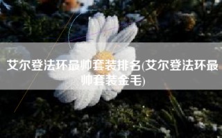 艾尔登法环最帅套装排名(艾尔登法环最帅套装金毛)