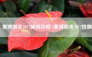 赛博朋克2077城市介绍 (赛博朋克2077性偶)