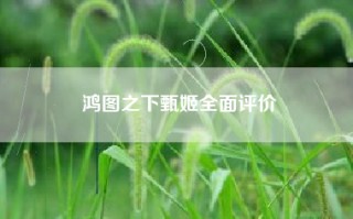 鸿图之下甄姬全面评价