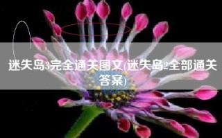 迷失岛3完全通关图文(迷失岛2全部通关答案)