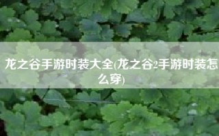 龙之谷手游时装大全(龙之谷2手游时装怎么穿)
