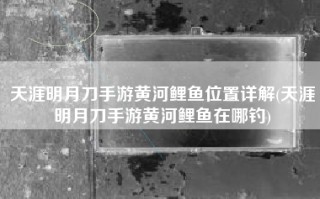 天涯明月刀手游黄河鲤鱼位置详解(天涯明月刀手游黄河鲤鱼在哪钓)