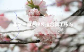 非常三国志程昱适合新手练吗