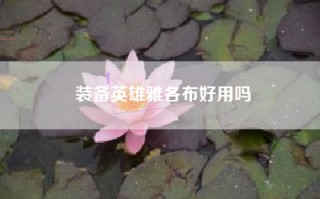 装备英雄雅各布好用吗