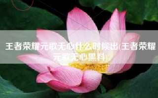 王者荣耀元歌无心什么时候出(王者荣耀元歌无心黑料)