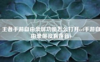 王者手游自由录屏功能怎么打开(cf手游自由录屏没有声音)