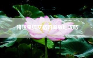 跨越星弧艾格玛流放地攻略