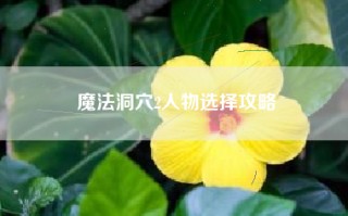 魔法洞穴2人物选择攻略