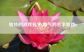 独特的游戏名字(霸气的名字游戏)